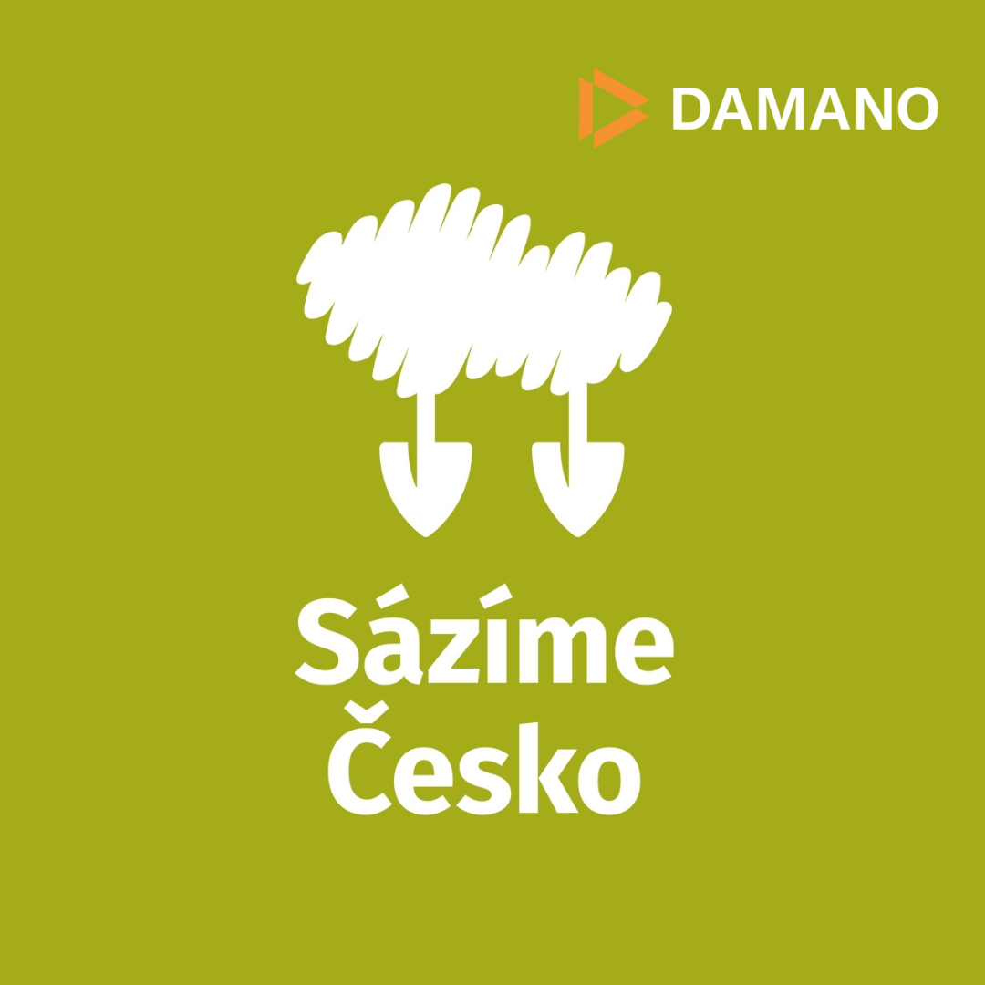 sázíme česko